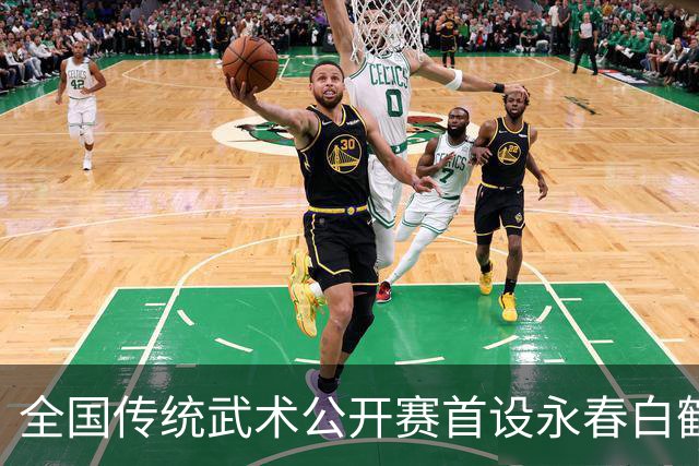 全国传统武术公开赛首设永春白鹤拳赛区 海内外选手以“拳”会友